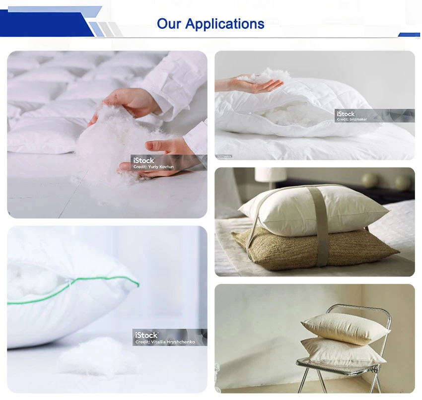 Our applications1